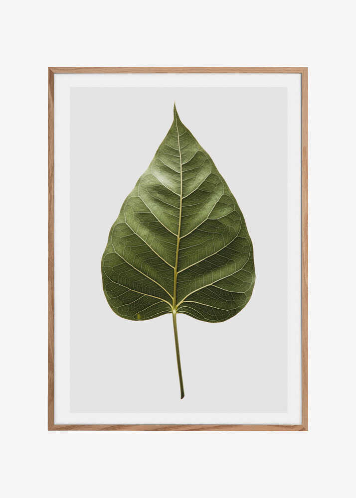 Leaf's Intricate Veins