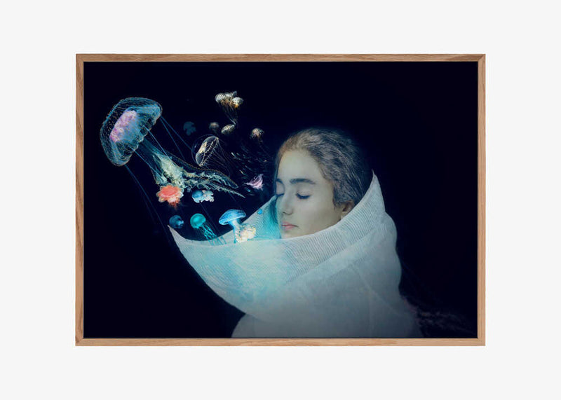 Jellyfish - The Queen of the sea