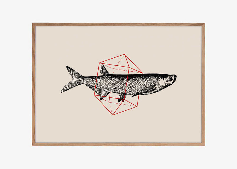 Fish In Geometrics Nº2