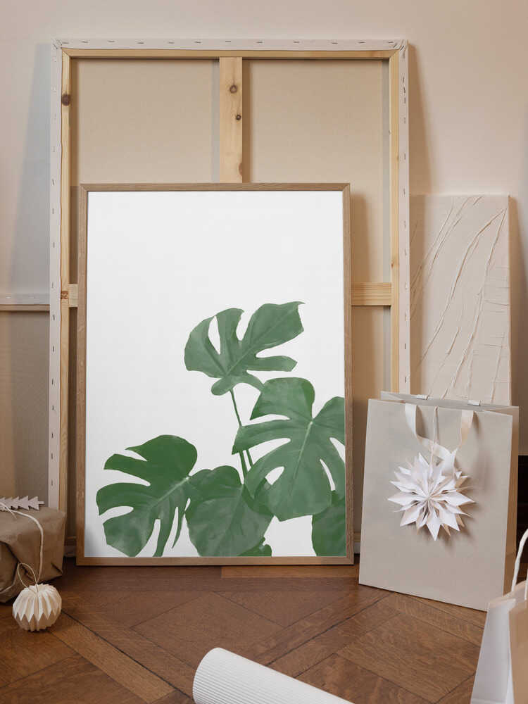 Monstera Aqua 04