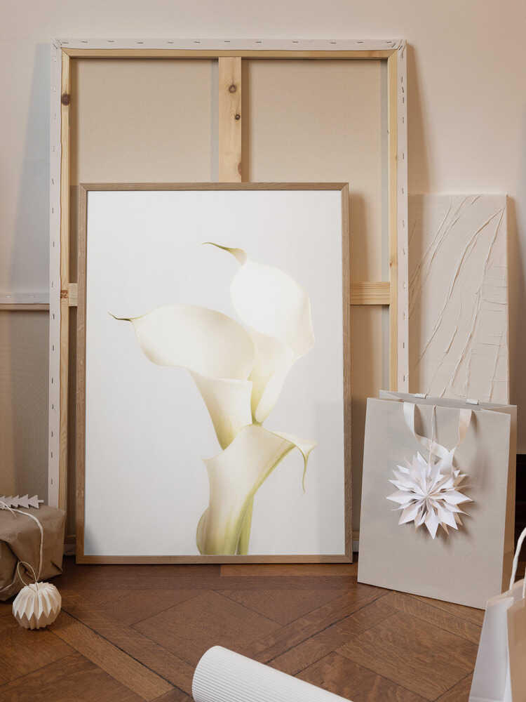 White Calla Lily No 3
