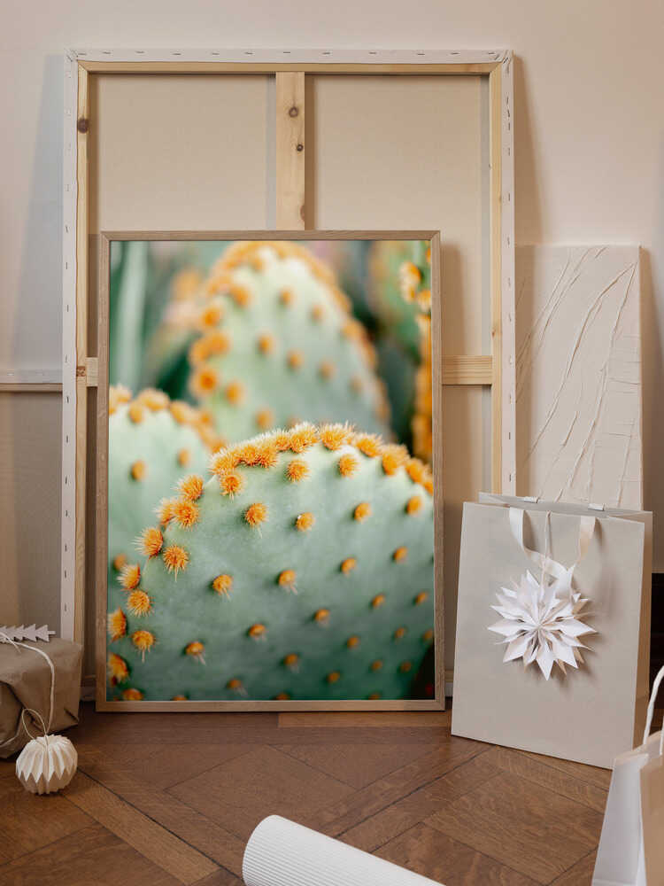 Orange and Green II - Marrakech botanical photography