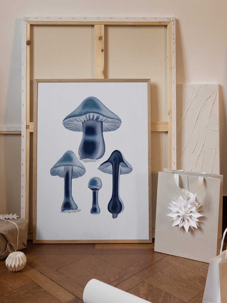 Agaricus Bulbosus - Blue