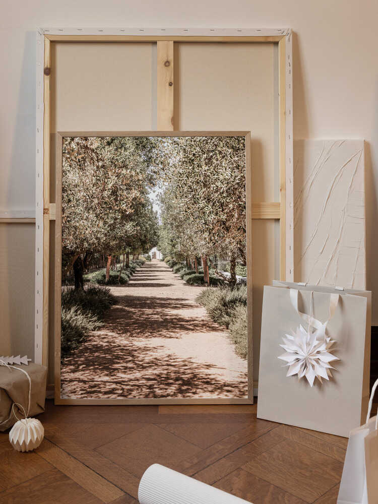 A Serene Tree Lined Path with Sunlight