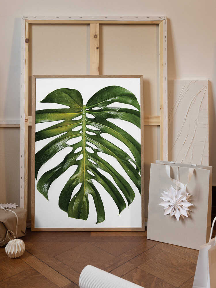 Verdant Monstera Leaf