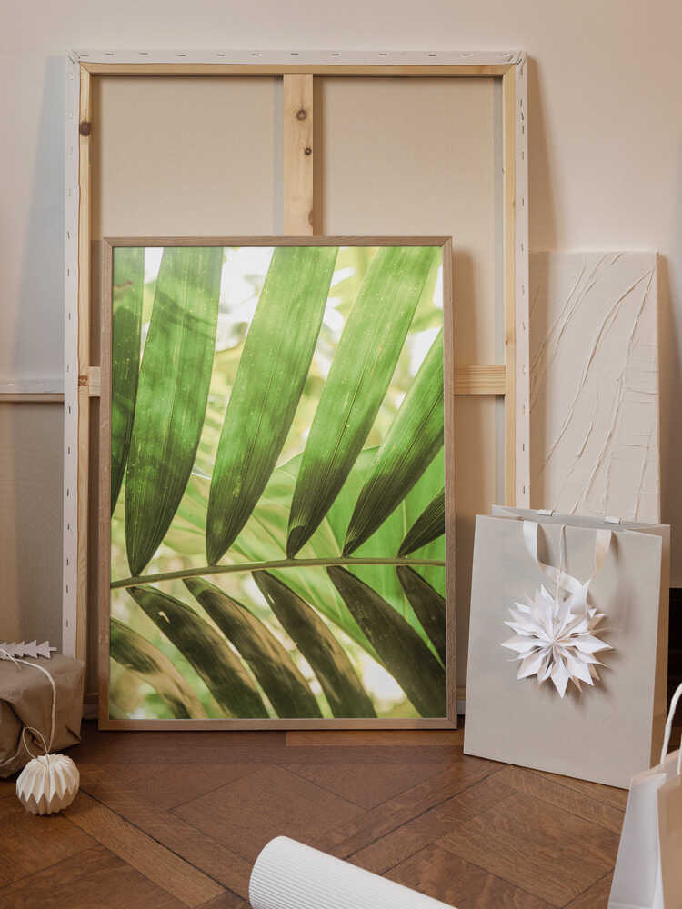 Beauty Of Palm Leaves