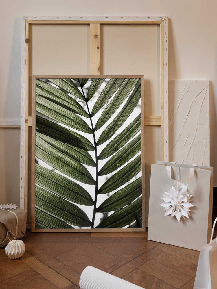 Palm Leaves 24
