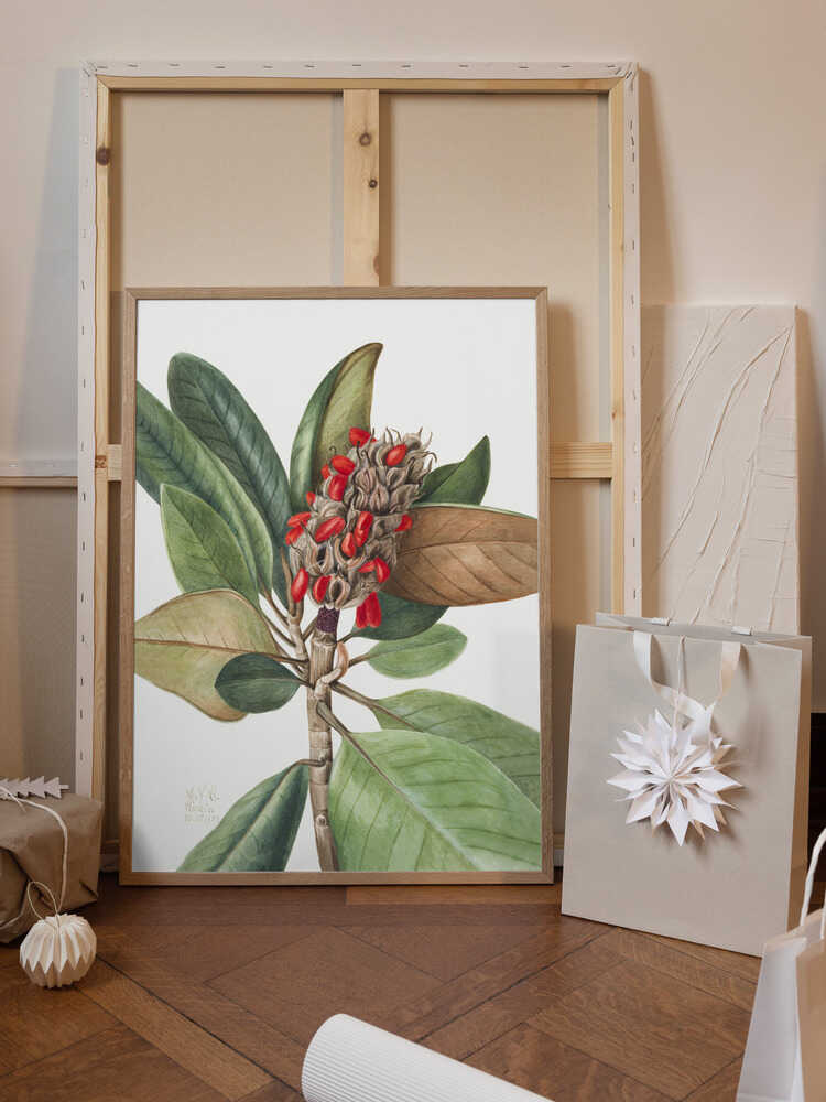 Southern Magnolia (1923)