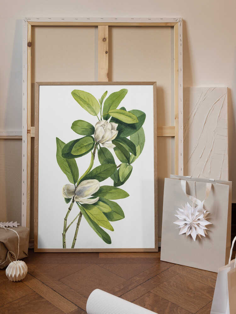 Swamp Magnolia (1918)