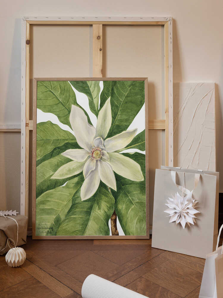 Umbrella Tree (1932)