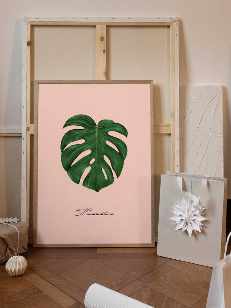 Monstera