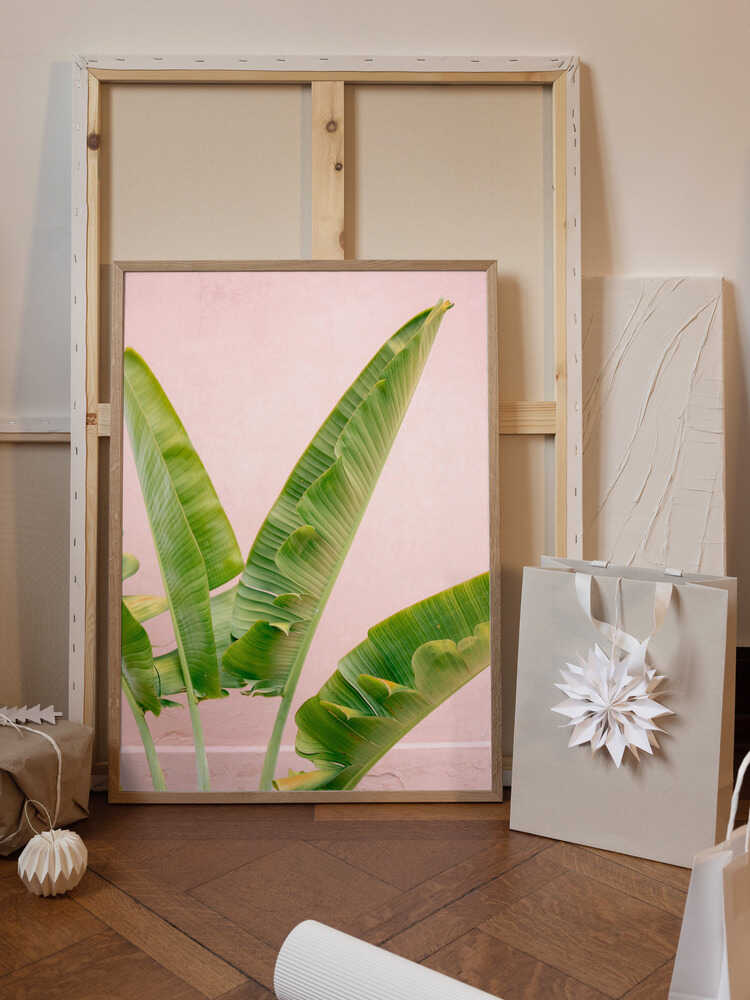 Merida Green on Pink