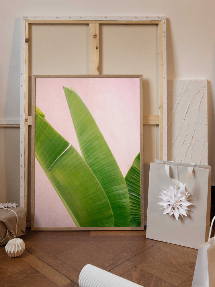 Merida Green on Pink