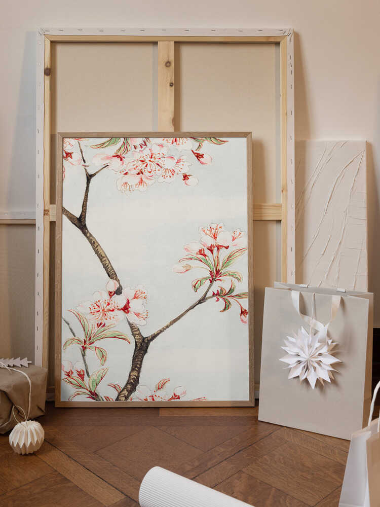 Sakura Cherry During 1870–1880