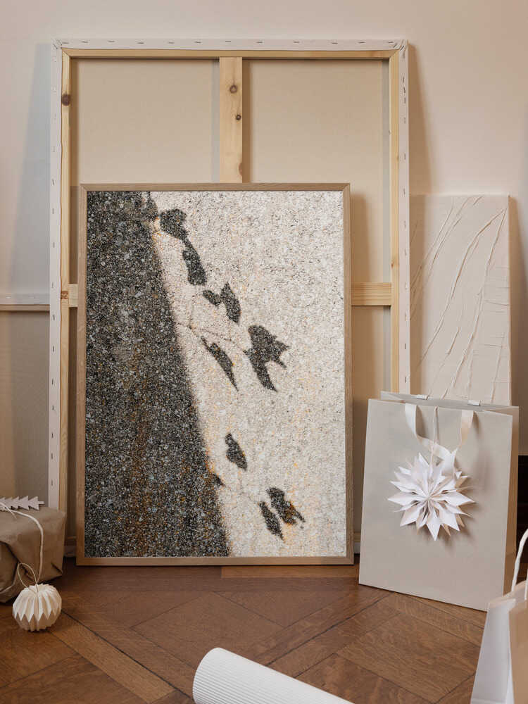 Botanical shadow on the wall