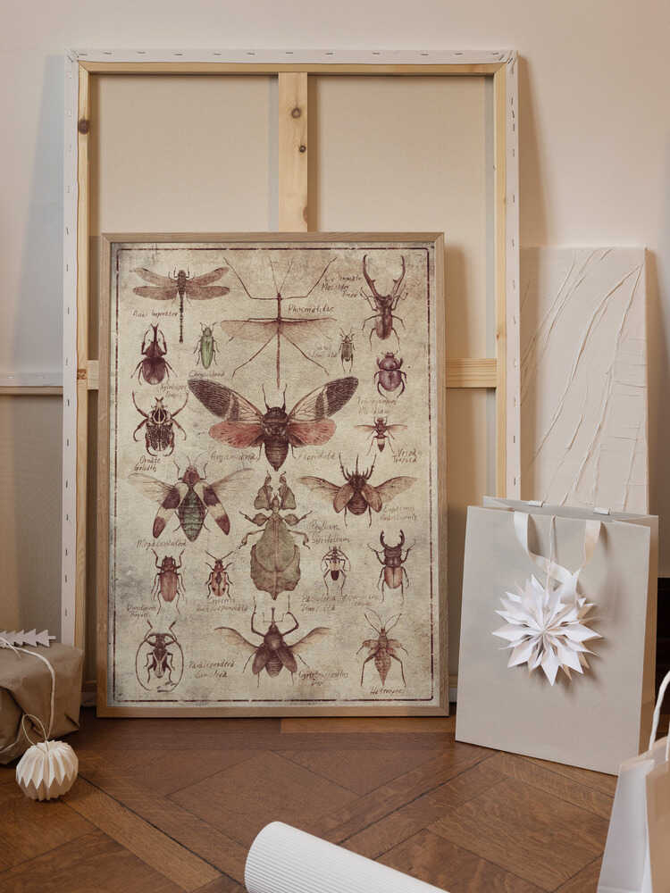 Vintage-style  Insects
