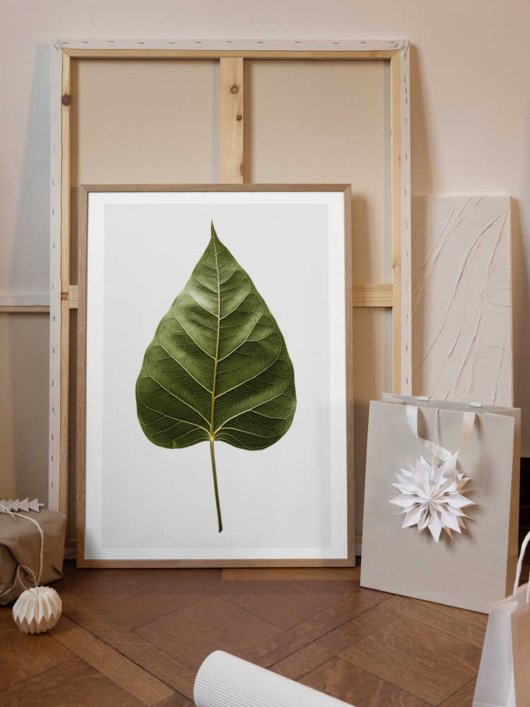 Leaf's Intricate Veins