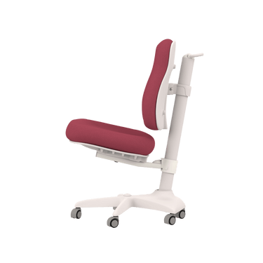 Desk Chair ERGO Chair LIFETIME Kidsrooms