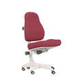 Desk Chair ERGO Chair LIFETIME Kidsrooms