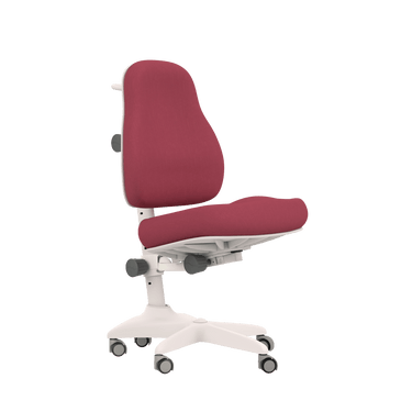 Desk Chair ERGO Chair LIFETIME Kidsrooms