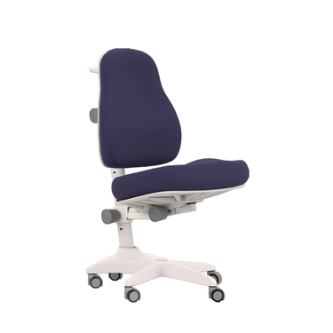 Desk Chair ERGO Chair LIFETIME Kidsrooms