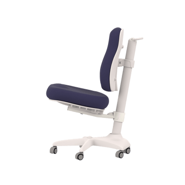 Desk Chair ERGO Chair LIFETIME Kidsrooms