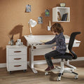 Drawer for Height Adjustable Desk Desk LIFETIME Kidsrooms