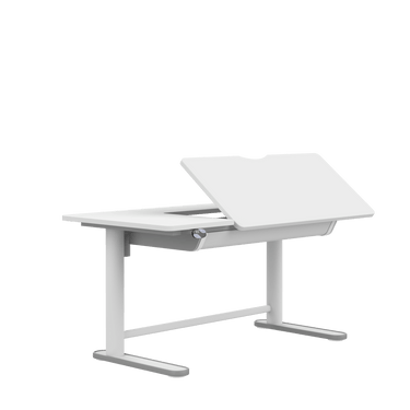 Electric Adjustable Desk ERGO - Right Desk LIFETIME Kidsrooms