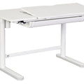 Electric Adjustable Desk ERGO - Right Desk LIFETIME Kidsrooms