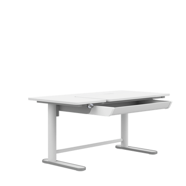Electric Adjustable Desk ERGO - Right Desk LIFETIME Kidsrooms