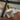 Square Cushion - Happy Rabbit Cushion LIFETIME Kidsrooms