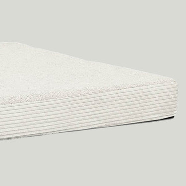Teddy Mattress Cover - Cream Mattress LIFETIME Kidsrooms
