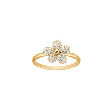 Phoebenor Ring - Forgyldt
