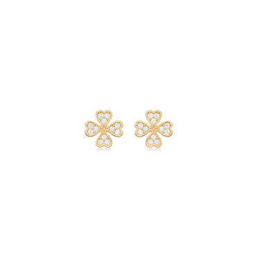 Petite Clover