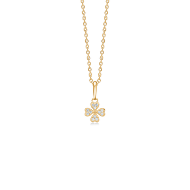 Petite Clover
