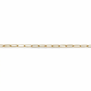 Ankelkæde long links - Forgyldt fra Scrouples Jewellery