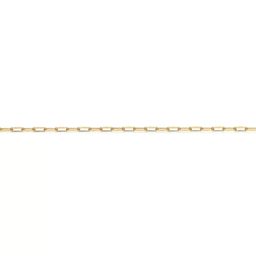 Ankelkæde Links - Forgyldt fra Scrouples Jewellery