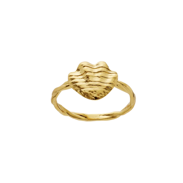 Dwyn Ring - Forgyldt fra Maanesten