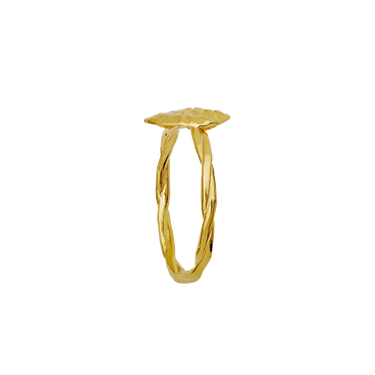 Dwyn Ring - Forgyldt fra Maanesten