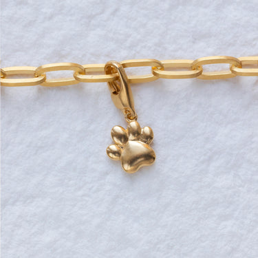 Paw Charm-GP-b