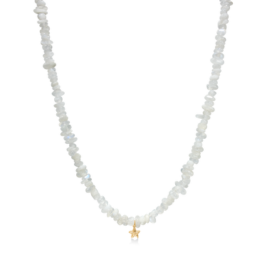 Starfish Lustre Halskæde - Forgyldt