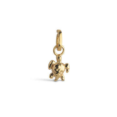 Calm Turtle Charm - Forgyldt