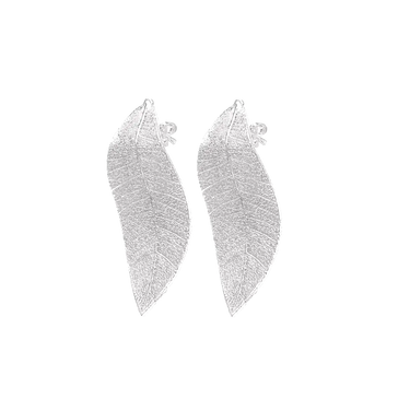 Cana Øreringe - Hvidguldsbelagt fra Pure Leaf