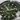 Khaki Navy Scuba Auto H82525160 fra Hamilton