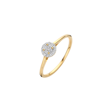 Ring 0,21 ct. - 14 kt. Guld