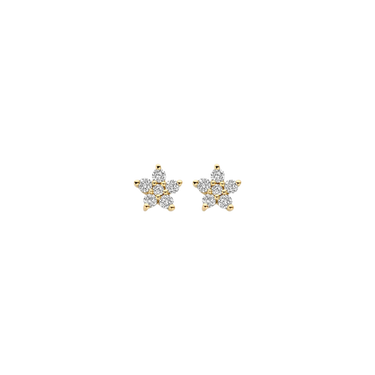 Ørestikker 2x 0,1250 ct. - 14 kt. Guld
