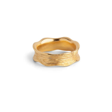 Ane Ring - Forgyldt fra Enamel