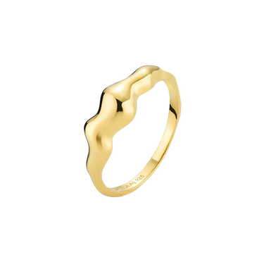 Nori Ring - Forgyldt fra Izabel Camille