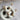White darling huggie - Forgyldt fra Lush Lush Jewelry