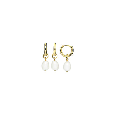 Pearl Dream hoop - Forgyldt fra Lush Lush Jewelry
